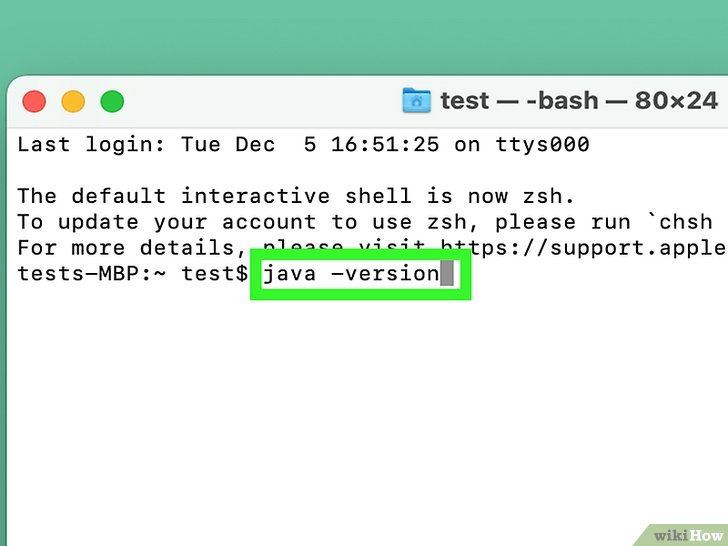 check if Java is installed on MacOS